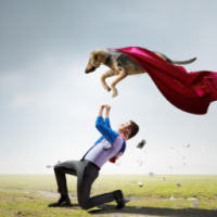 superman fighting with dog